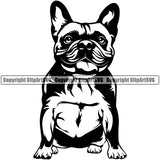 French Bulldog Sitting Design Puppy Head Purebred Pup Pedigree Vector K9 Animal Portrait Doggy Clipart SVG