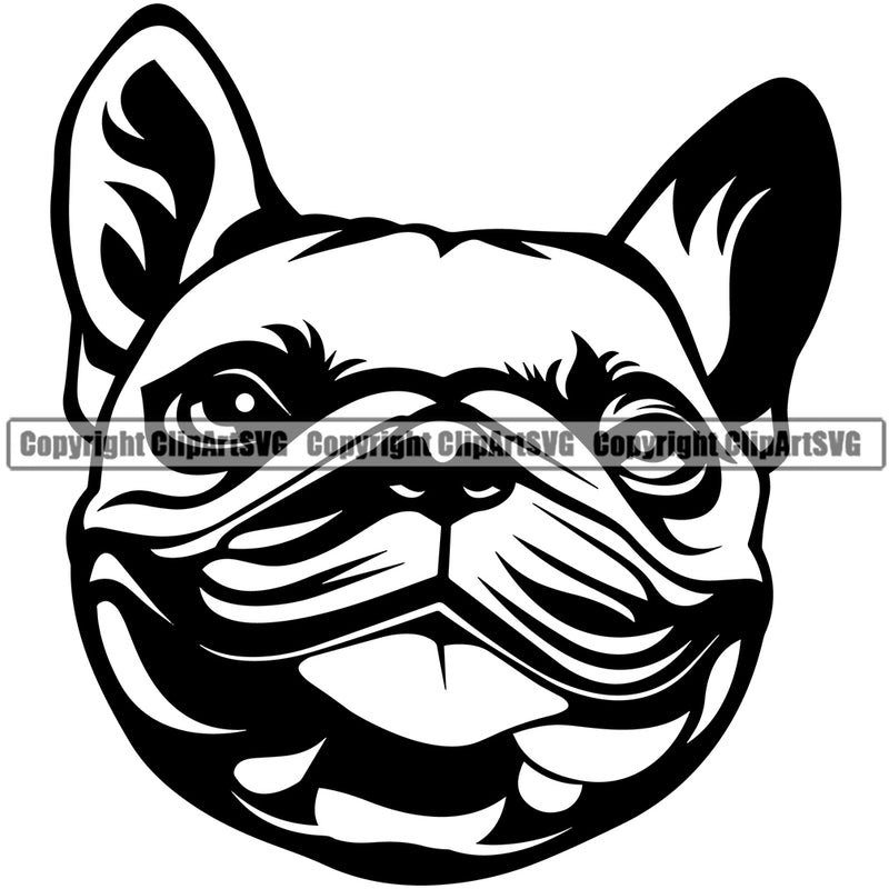 French Bulldog Cute Head Design Animal Face Purebred Pup Pedigree Vector Canine K-9 K9 Portrait Doggy Clipart SVG