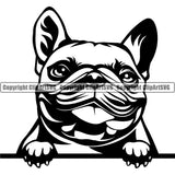 French Bulldog Peeking Face Design Puppy Head Purebred Pup Pedigree Vector Canine K-9 K9 Animal Portrait Clipart SVG