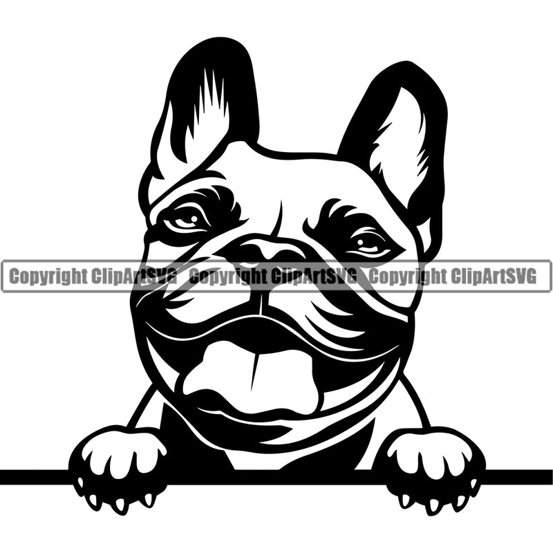 French Bulldog Peeking Face Design Head Purebred Pup Pedigree Vector K9 Animal Portrait Doggy Face Cute Clipart SVG
