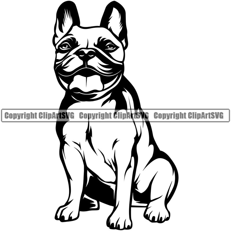 French Bulldog Sitting Animal Design Puppy Head Purebred Pup Pedigree Vector K9 Animal Portrait Doggy Clipart SVG