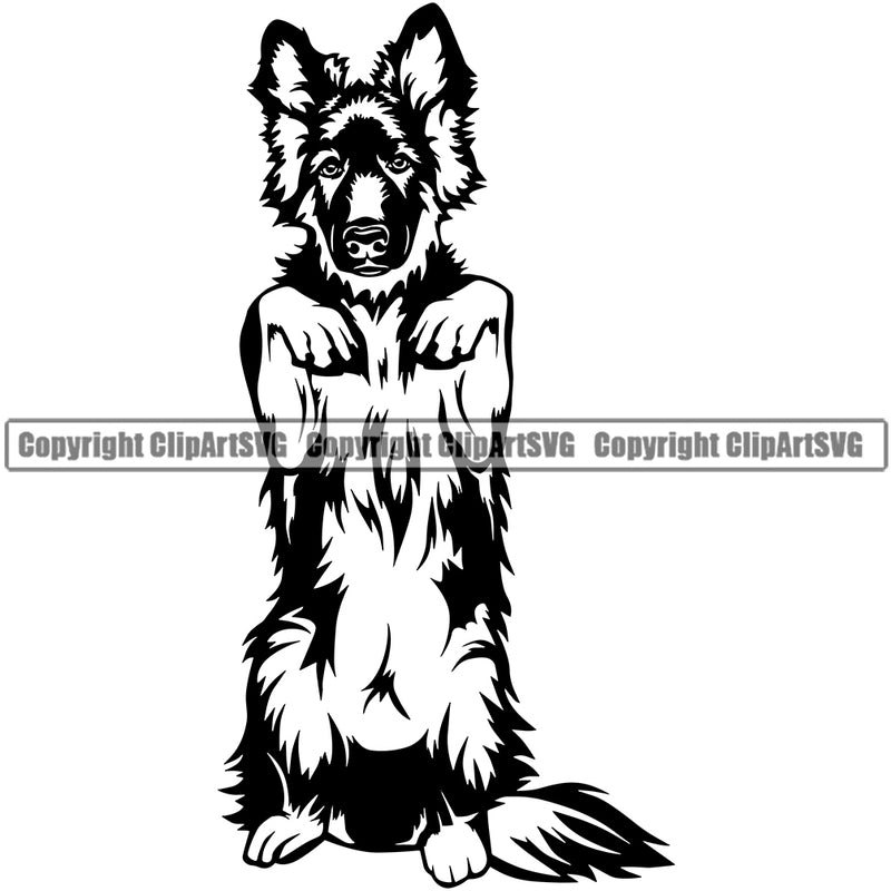 German Shepherd Dog Begging Animal Body Design Puppy Head Purebred Pup Pedigree Vector K9 Clipart SVG