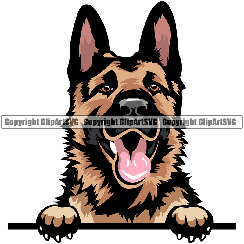 German Shepherd Dog Peeking Face Color Puppy Head Purebred Pup Pedigree Vector Canine K-9 K9 Animal Clipart SVG