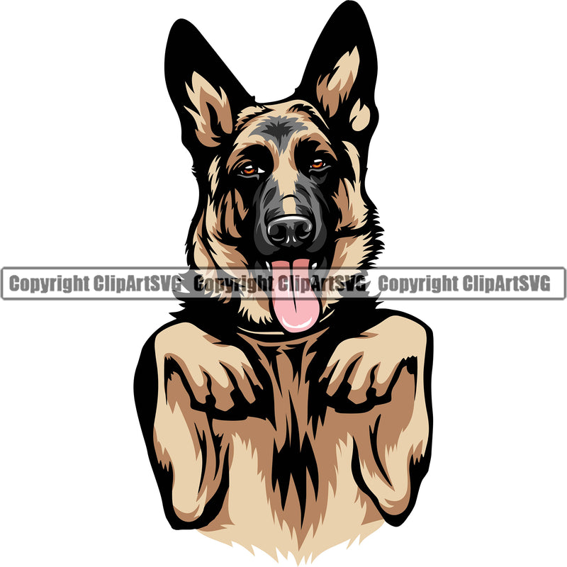 German Shepherd Dog Breed Pup Puppy Purebred Pedigree Canine German Shepherd Begging White Background Color Design Element Cop Police K9 K-9 Design Logo Clipart SVG