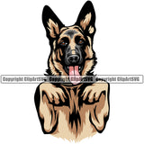 German Shepherd Dog Begging Animal Body Color Portrait Doggy Face Cute Vector Puppy Head Purebred Pup Pedigree Clipart SVG