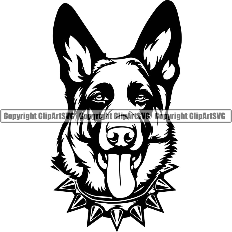 German Shepherd Dog Breed Pup Puppy Purebred Wearing Spiked Spikes Collar Design Element White Background Pedigree Canine Cop Police K9 K-9 Design Logo Clipart SVG