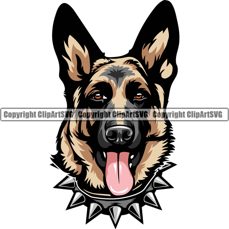 German Shepherd Dog Breed Pup Puppy Purebred Wearing Spiked Spikes Collar Color Design Element White Background Pedigree Canine Cop Police K9 K-9 Design Logo Clipart SVG