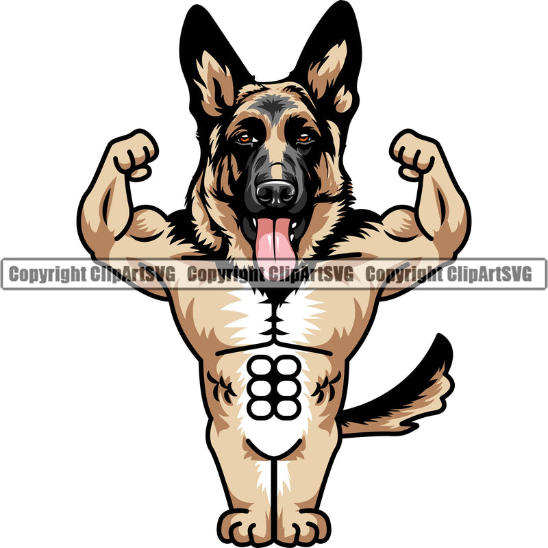 German Shepherd Dog Breed Pup Puppy Purebred Flex Flexing Muscle Bodybuilder Bodybuilding Body Color Design Element White Background Pedigree Canine Cop Police K9 K-9 Design Logo Clipart SVG