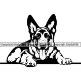 German Shepherd Dog Laying Down Portrait Doggy Face Cute Head Purebred Pup Pedigree Vector Clipart SVG