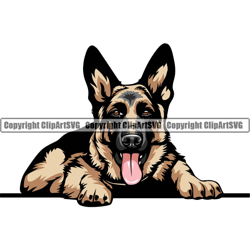 German Shepherd Dog Laying Down Color Design Element Breed Pup Puppy Purebred White Background Pedigree Canine Cop Police K9 K-9 Design Logo Clipart SVG
