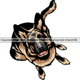 German Shepherd Dog Looking Up Color Design Element Breed Pup Puppy Purebred White Background Pedigree Canine Cop Police K9 K-9 Design Logo Clipart SVG