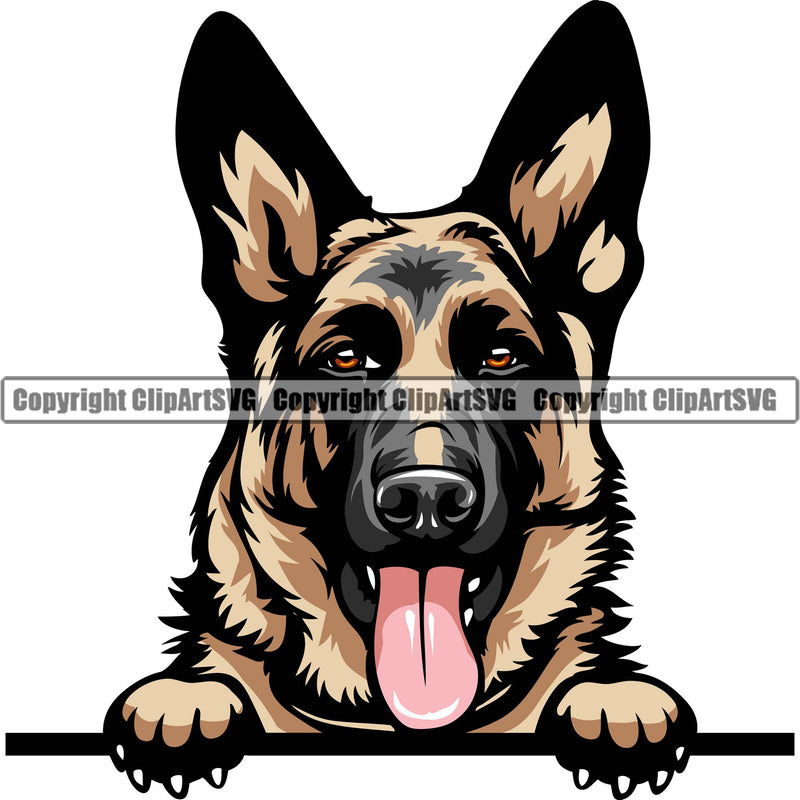 German Shepherd Dog Breed Pup Puppy Purebred Peeking Position Color Head Design Element White Background Pedigree Canine Cop Police K9 K-9 Design Logo Clipart SVG