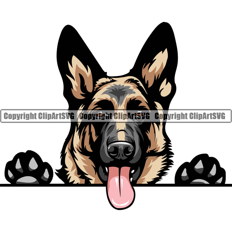 German Shepherd Dog Peeking Color Head Design Element Breed Pup Puppy Purebred White Background Pedigree Canine Cop Police K9 K-9 Design Logo Clipart SVG