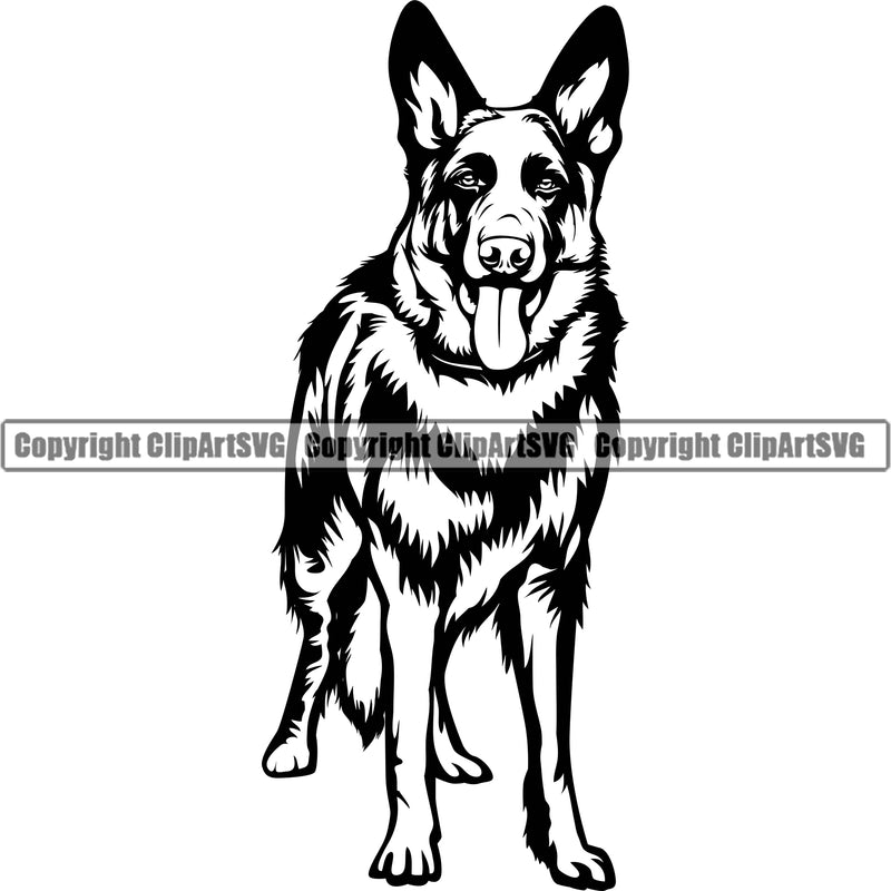 German Shepherd Dog Standing Forward Design Element Breed Pup Puppy Purebred Pedigree White Background Canine Cop Police K9 K-9 Logo Clipart SVG