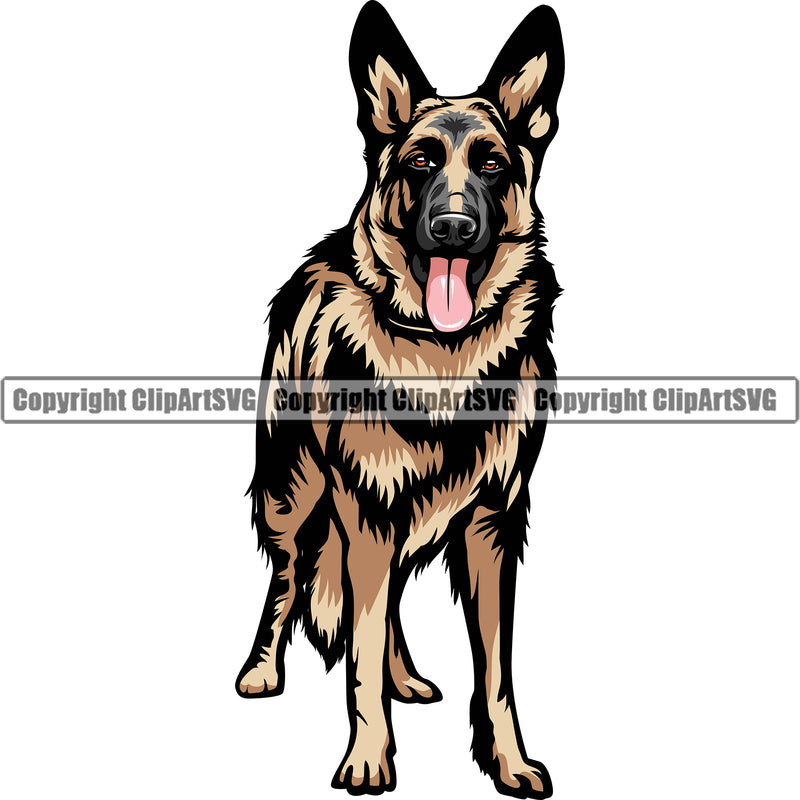 German Shepherd Dog Standing Forward Color Body Design Element Breed Pup Puppy Purebred Pedigree White Background Canine Cop Police K9 K-9 Logo Clipart SVG