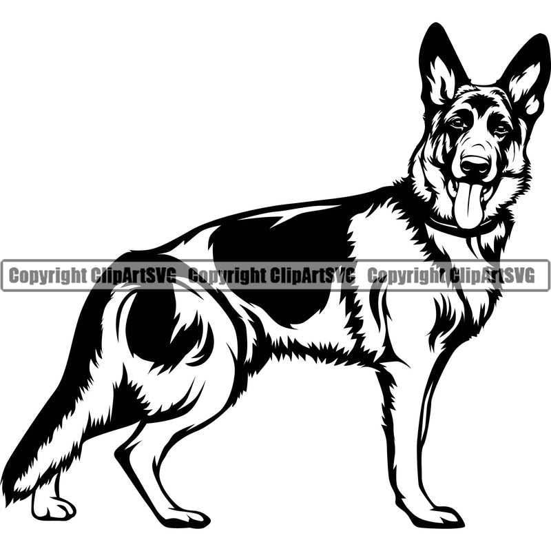 German Shepherd Dog Breed Pup Puppy Purebred Pedigree Standing Sideways Design Element White Background Canine Cop Police K9 K-9 Logo Clipart SVG