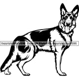 German Shepherd Dog Standing Sideways Puppy Head Purebred Pup Pedigree Vector Animal Portrait Doggy Face Cute Clipart SVG