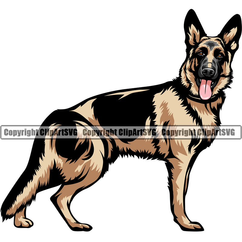 German Shepherd Dog Standing Sideways Color Body Puppy Head Purebred Pedigree Vector Animal Portrait Doggy Cute Clipart SVG