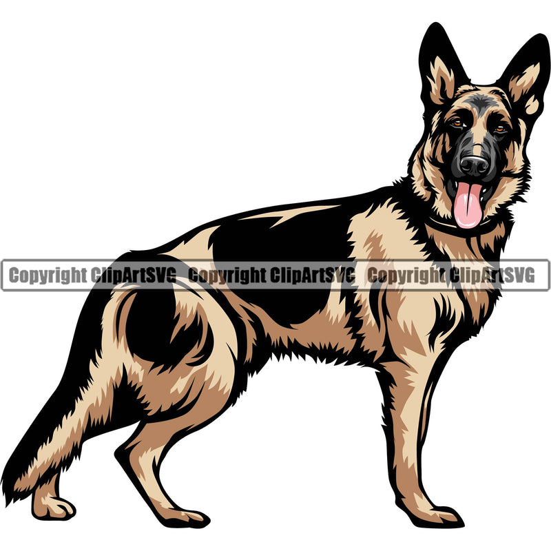 German Shepherd Dog Breed Pup Puppy Purebred Pedigree Standing Sideways Brown Color Body Design Element White Background Canine Cop Police K9 K-9 Logo Clipart SVG