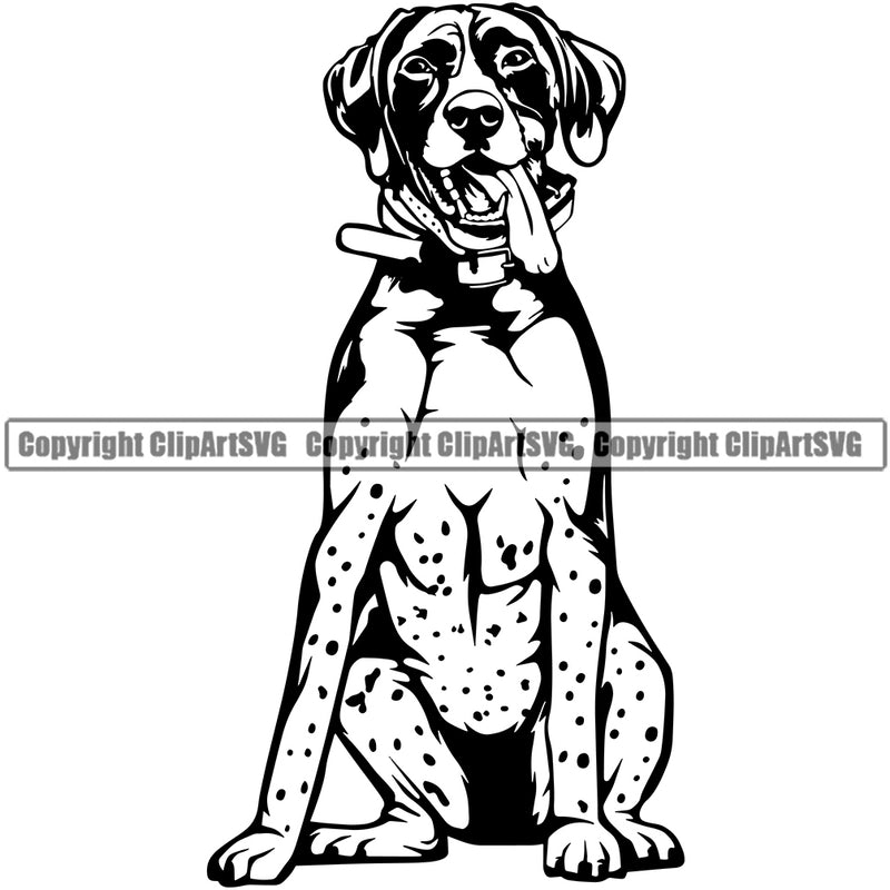 German Shorthaired Pointer Dog Sitting Design Puppy Body Purebred Pup Pedigree Vector Ki Animal Clipart SVG