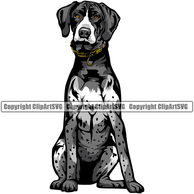 German Shorthaired Pointer Dog Sitting Black Color Animal K9 Puppy Head Purebred Pup Pedigree Vector Clipart SVG