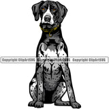 German Shorthaired Pointer Dog Sitting Black Color Animal K9 Puppy Head Purebred Pup Pedigree Vector Clipart SVG