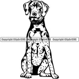German Shorthaired Pointer Dog Puppy Head Pedigree Purebred K9 Animal Portrait Doggy Canine Clipart SVG