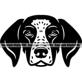 German Shorthaired Pointer Dog Head Puppy Head Purebred Pedigree Vector K9 Animal Portrait Doggy Face Cute Clipart SVG