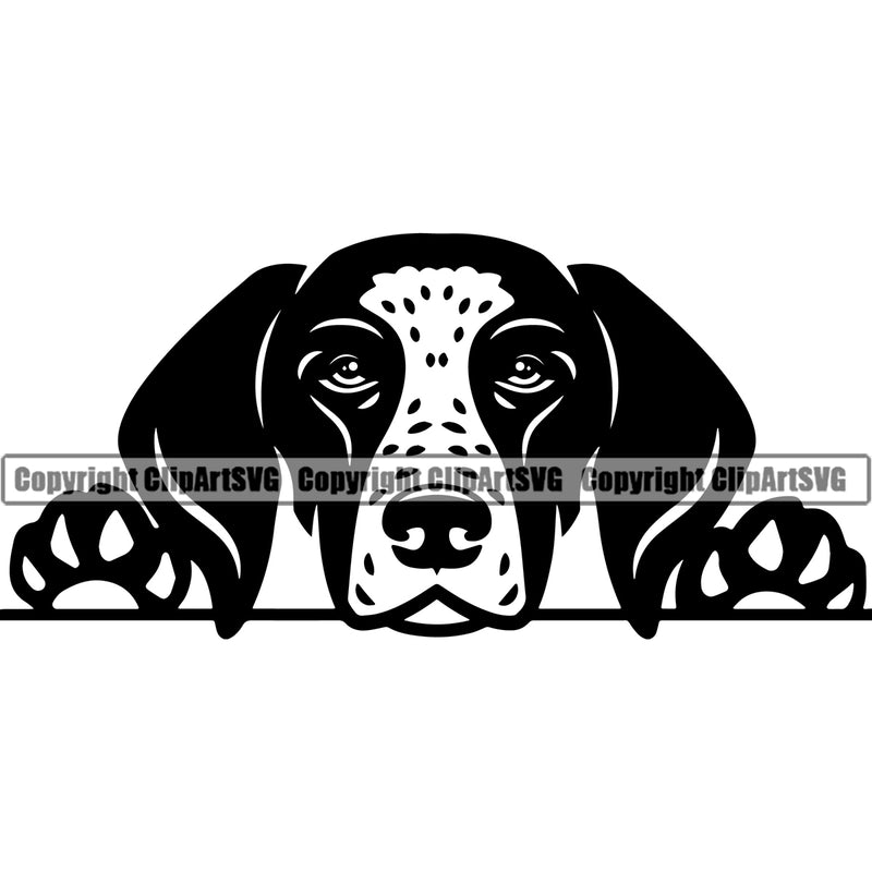 German Shorthaired Pointer Dog K9 Animal Portrait Doggy Face Cute Puppy Head Purebred Pup Pedigree Clipart SVG