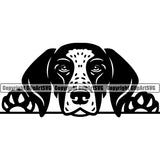 German Shorthaired Pointer Dog K9 Animal Portrait Doggy Face Cute Puppy Head Purebred Pup Pedigree Clipart SVG