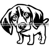 German Shorthaired Pointer Dog K9 Animal Portrait Doggy Vector Puppy Head Purebred Pup Pedigree Clipart SVG