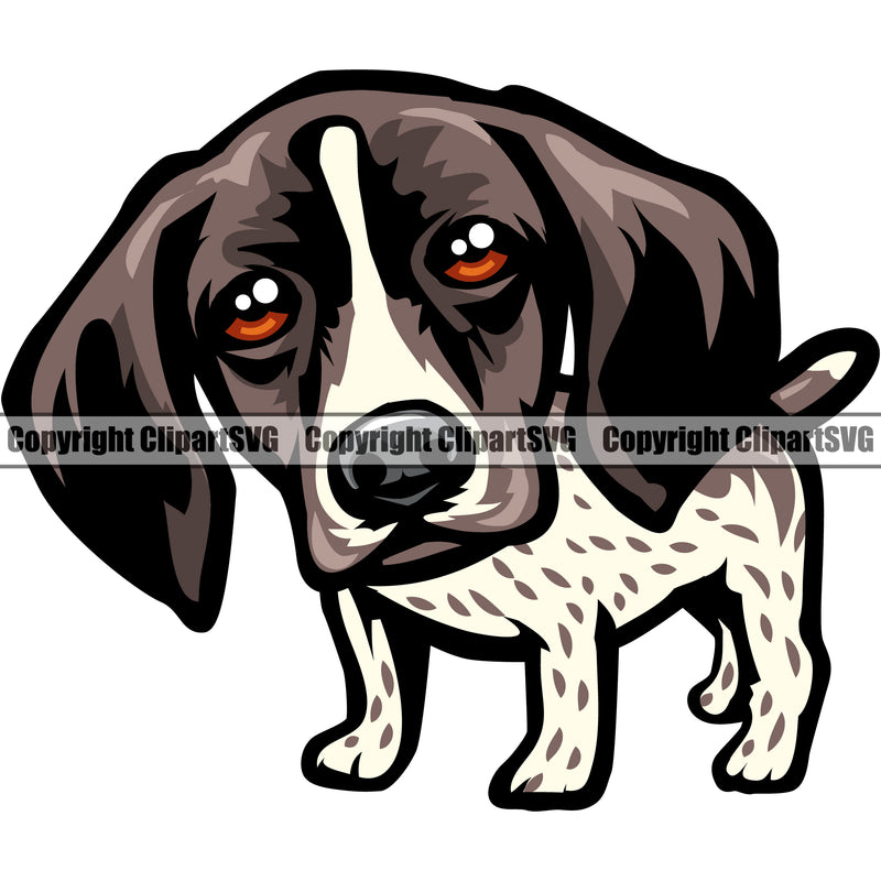 German Shorthaired Pointer Dog Red Eye Color Body Animal Puppy Head Purebred Pup Pedigree K9 Clipart SVG