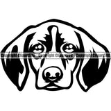 German Shorthaired Pointer Dog Vector Puppy Head Purebred Pup Pedigree K9 Animal Portrait Doggy Clipart SVG