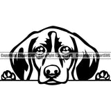 German Shorthaired Pointer Dog Peeking Design Element Puppy Head Purebred Pedigree K9 Animal Portrait Doggy Clipart SVG