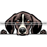 German Shorthaired Pointer Dog Peeking Design Puppy Head Purebred Pup Pedigree K9 Animal Portrait Doggy Clipart SVG