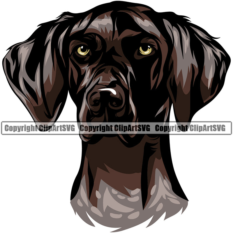 German Shorthaired Pointer Dog Head Color Design Puppy Head Purebred Pup Pedigree Vector Animal K9 Clipart SVG