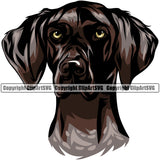German Shorthaired Pointer Dog Head Color Design Puppy Head Purebred Pup Pedigree Vector Animal K9 Clipart SVG