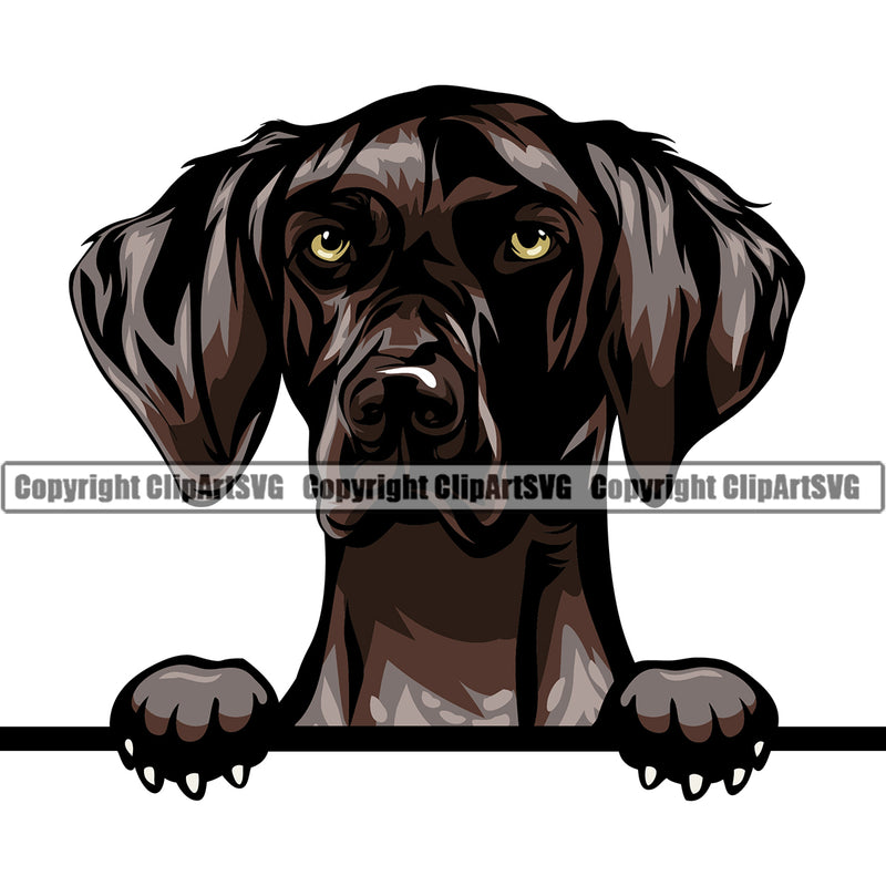 German Shorthaired Pointer Dog Peeking Color Design Puppy Head Pedigree Purebred Vector K9 Animal Clipart SVG