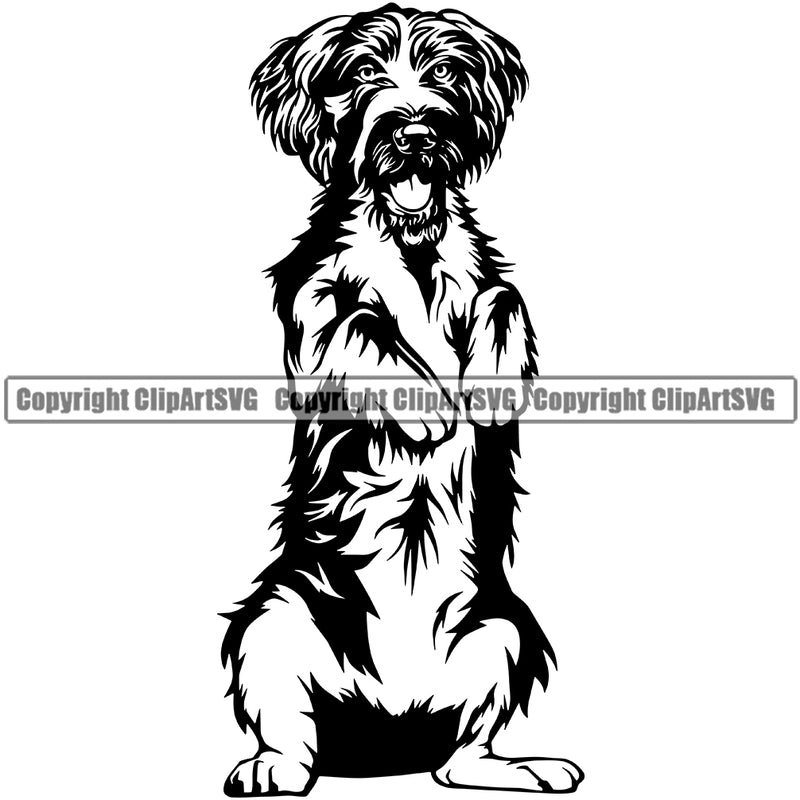 German Wirehaired Pointer Dog Begging Position Animal Body Smiling Face Puppy Head Purebred Vector Clipart SVG
