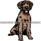 German Wirehaired Pointer Dog Color Body Sitting Animal Puppy Head Purebred Pedigree K9 Animal Portrait Clipart SVG