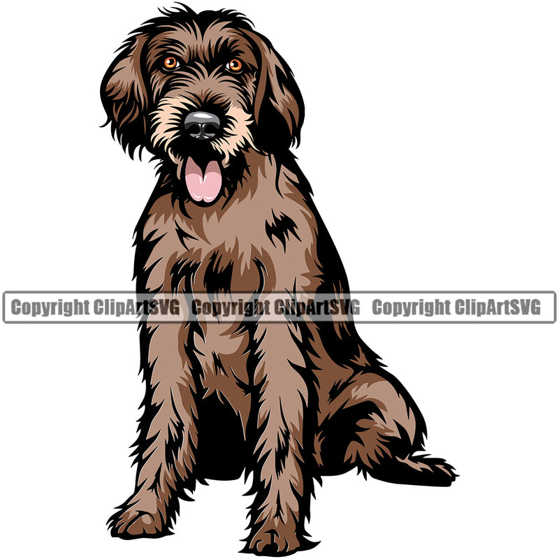German Wirehaired Pointer Dog Color Body Sitting Animal Puppy Head Purebred Pup Pedigree K9 Doggy Face Vector Clipart SVG