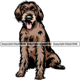 German Wirehaired Pointer Dog Color Body Sitting Animal Puppy Head Purebred Pup Pedigree K9 Doggy Face Vector Clipart SVG