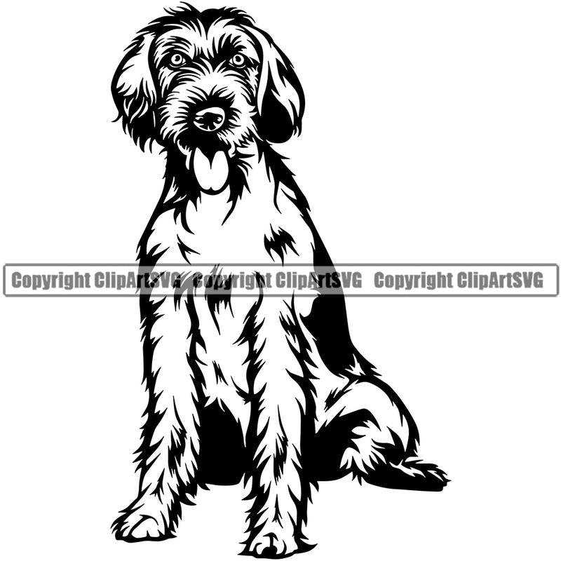 German Wirehaired Pointer Dog Sitting Design Element Animal Body Face K9 Portrait Doggy Purebred Pedigree Clipart SVG