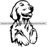 Golden Retriever Dog Begging K9 Animal Portrait Doggy Face Cute Vector Puppy Head Purebred Pup Pedigree Clipart SVG