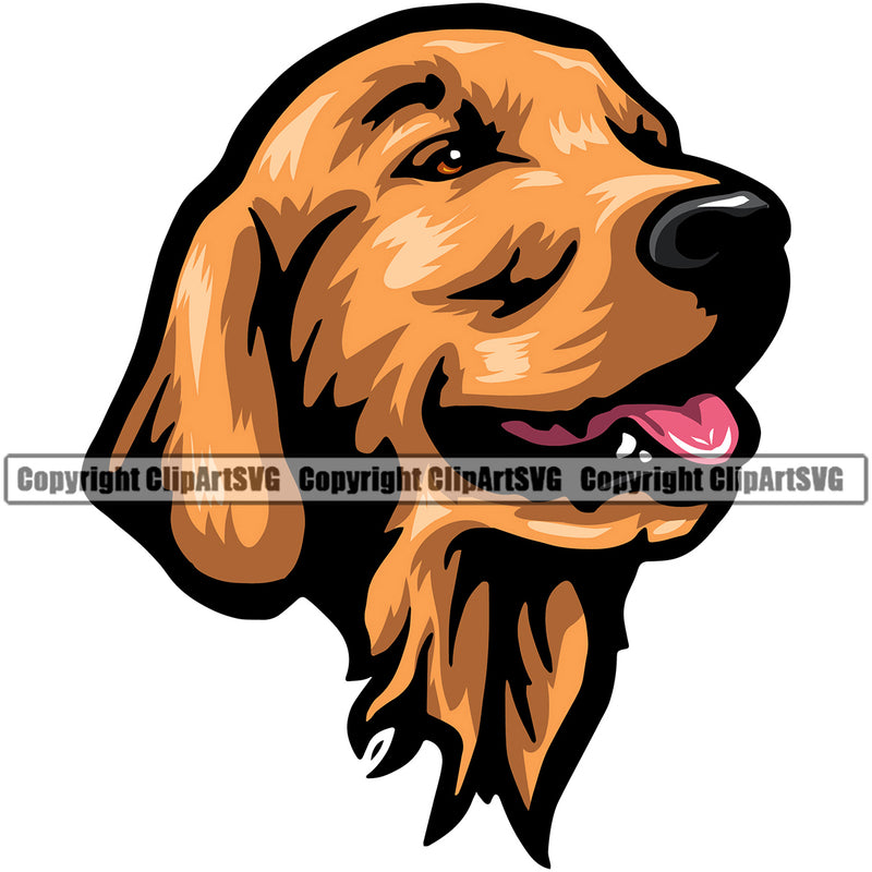 Golden Retriever Dog Head Color Design Puppy Head Purebred Pup Pedigree Vector K9 Animal Portrait Doggy Face Cute Clipart SVG