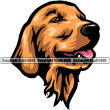Golden Retriever Dog Head Color Design Puppy Head Purebred Pup Pedigree Vector K9 Animal Portrait Doggy Face Cute Clipart SVG