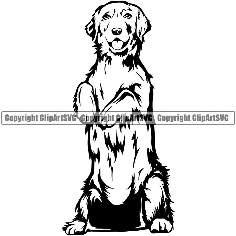 Golden Retriever Dog Begging K9 Animal Portrait Doggy Body Cute Puppy Head Purebred Pedigree Vector Clipart SVG