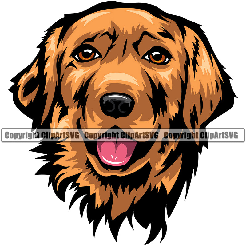 Golden Retriever Dog Head Color Design Puppy Head Purebred Pup Pedigree Vector K9 Animal Portrait Doggy Face Cute Clipart SVG
