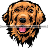Golden Retriever Dog Head Color Design Puppy Head Purebred Pup Pedigree Vector K9 Animal Portrait Doggy Face Cute Clipart SVG