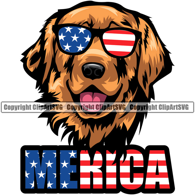Golden Retriever Dog Wearing Sunglasses Merica Color Text Design Puppy Head Purebred Pedigree Animal Face Doggy Clipart SVG